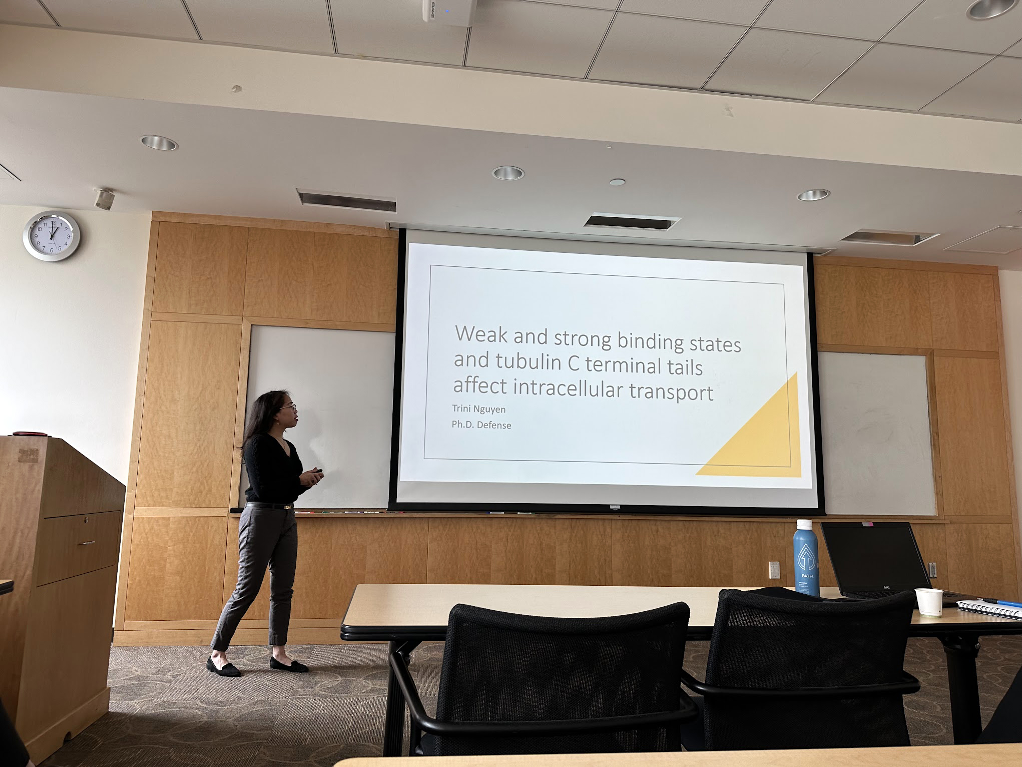 Trini's defense, June 2024