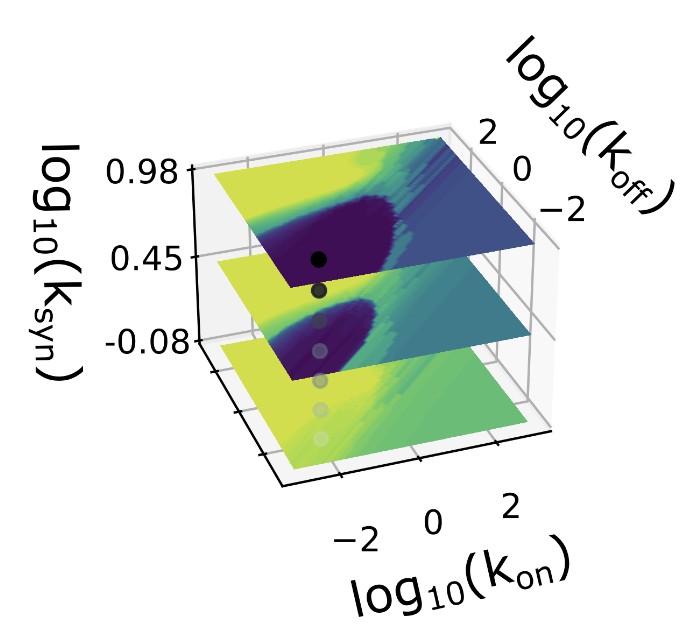 Figure from Transcriptional Bursting Inference