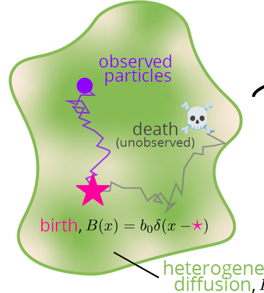 Figure from Identifiability Limits of Physics-Informed Inference