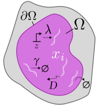 Figure from Inferring Rates from Particle Snapshots